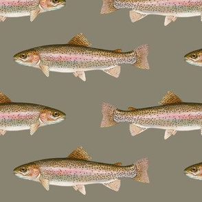 rainbow trout on pewter grey