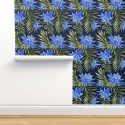 Fasciata Tropical - Blue/Green - SMALL