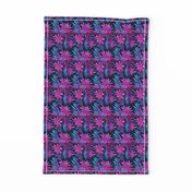 Fasciata Tropical - Dark Blue Pink - SMALL