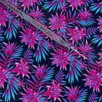 Fasciata Tropical - Dark Blue Pink - SMALL