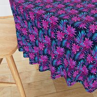 Fasciata Tropical - Dark Blue Pink - SMALL