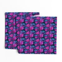 Fasciata Tropical - Dark Blue Pink - SMALL