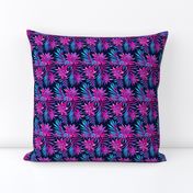 Fasciata Tropical - Dark Blue Pink - SMALL