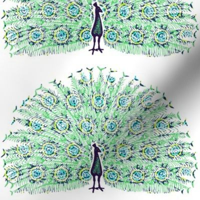 Peacock