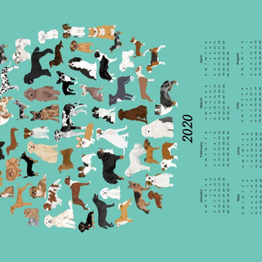 2020 Dog Breed Calendar