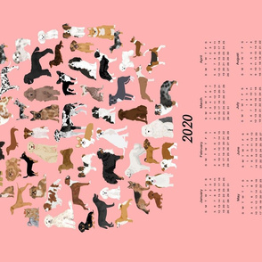 2020 Dog Breed Calendar panel - calendar fabric panel, tea towel fabric, tea towel panel, fabric panel