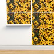 giant blackeyed susans - tea towel