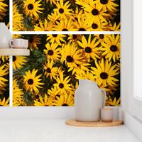 giant blackeyed susans - tea towel