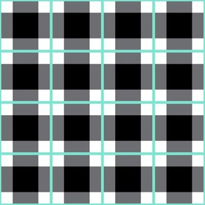 Thin Turquoise Stripe Plaid