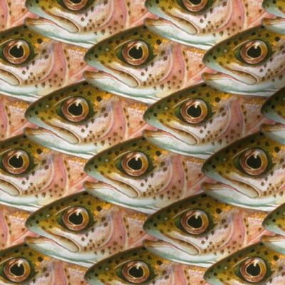 Fish (head) scales