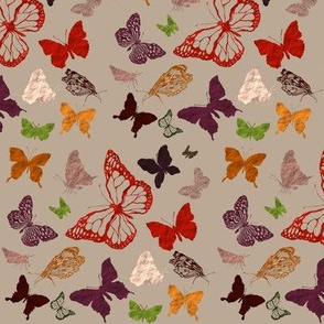 butterfly dots autumn