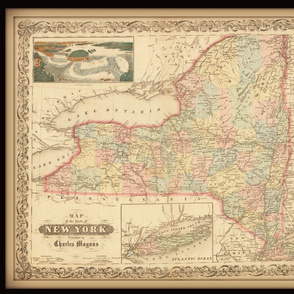 New York state map, vintage, FQ