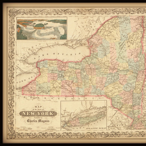 New York state map, yard