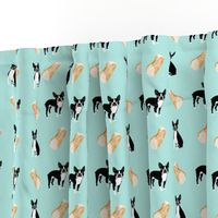 Boston Terrier cannoli fabric cute cannoli dessert fabrics best boston terrier fabrics