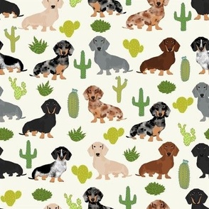 doxie cactus fabric cute dachshund fabric with cacti fun cactus fabric cute cacti design best dogs and cactus fabric