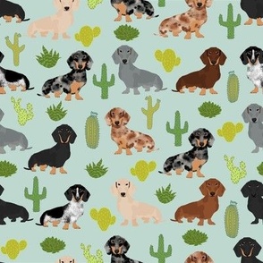 dachshund cactus fabric cute doxie dog design best doxie dogs fabric cute dachshunds