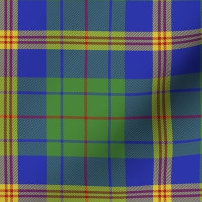 New Mexico official tartan - 6" bright colors