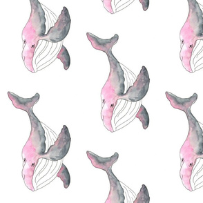 watercolour whale pink
