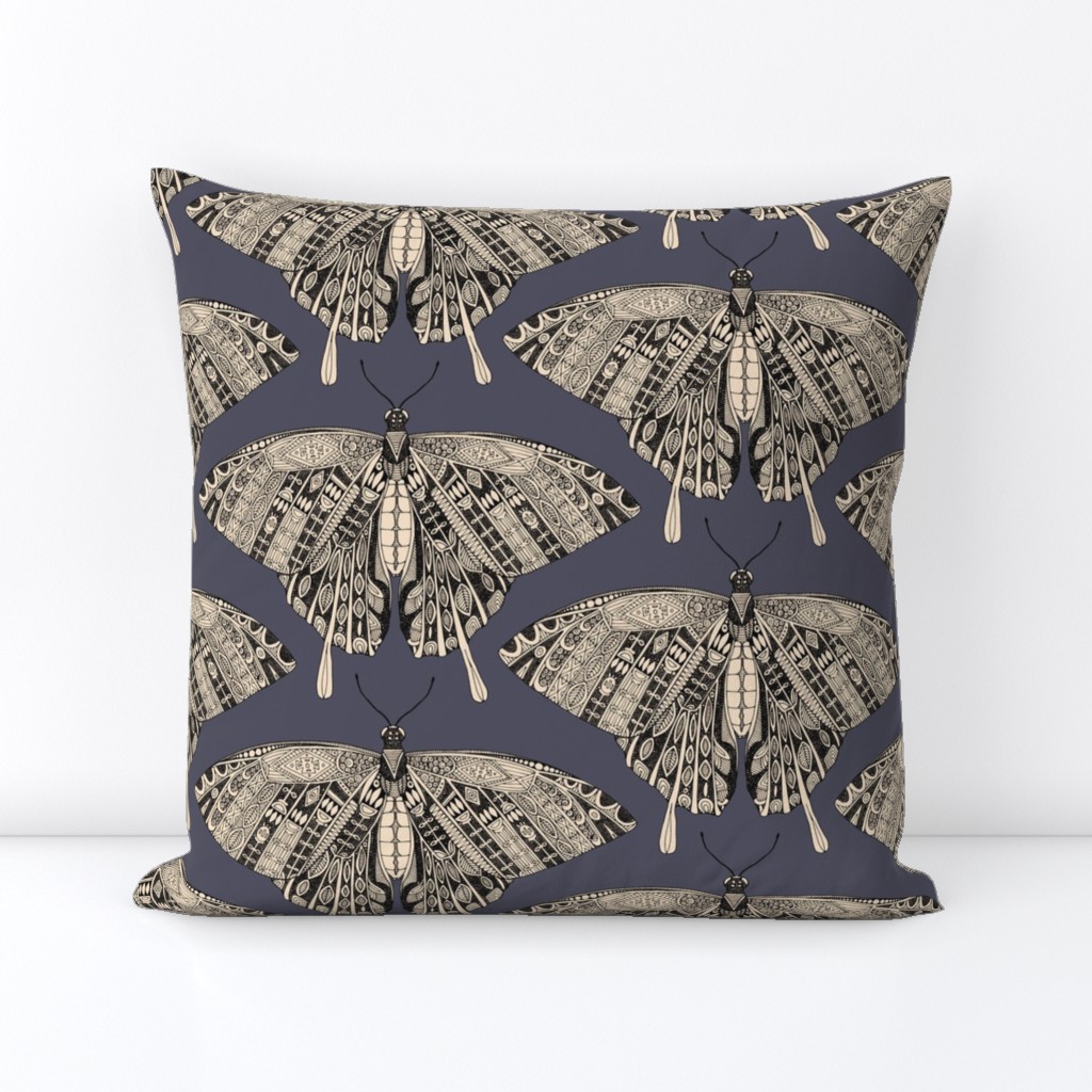 swallowtail butterfly dusk black