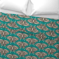 swallowtail butterfly teal black