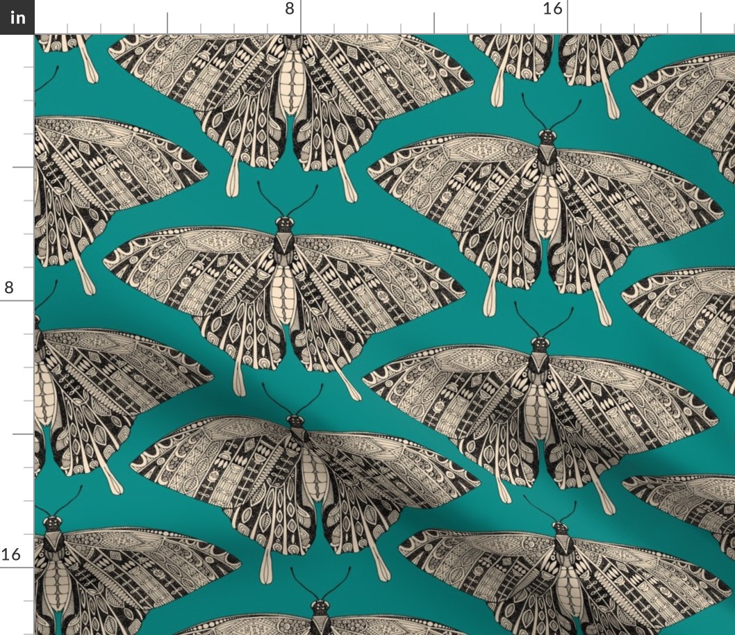 swallowtail butterfly teal black