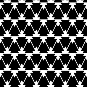 Black and White Aztec