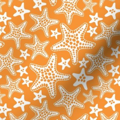 Starfish Orange