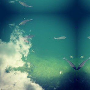 Key West Water in the Sky 