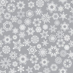 snowflake silver
