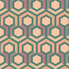 Hexagon Geometric