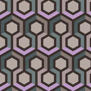 Hexagon Geometric