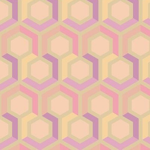 Hexagon Geometric