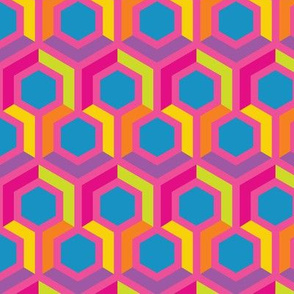 Hexagon Geometric