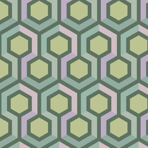 Hexagon Geometric