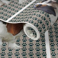 basset_fabric_design