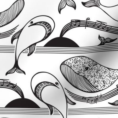 Musical Whales