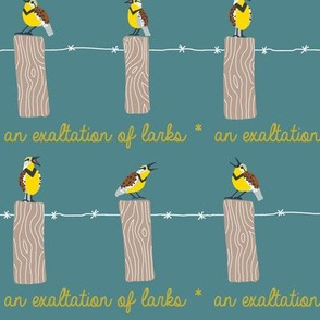 EXALTATION of larks 1