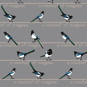 MISCHIEF of magpies 1