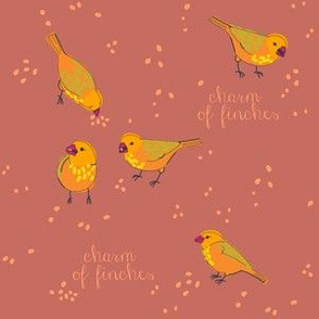 CHARM of finches 3