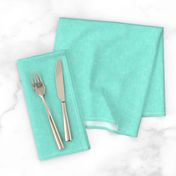 Solid Aqua Linen