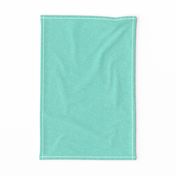 Solid Aqua Linen