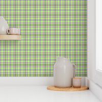 FNB2 - Mini Lime Green and Purple Pastel Plaid - 2 inch repeat