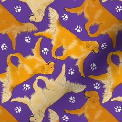 Trotting Golden Retrievers and paw prints - purple