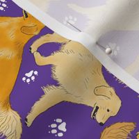 Trotting Golden Retrievers and paw prints - purple