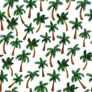 Palm Tree Print (Medium)