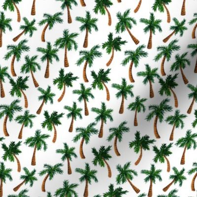 Palm Tree Print (Small)