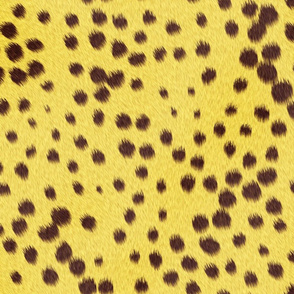 Cheetah_Skin