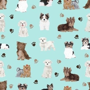 chocolate yorkie, maltese, biewer terriers cute toy dogs fabric cute toy breeds fabric cute dog breed fabric