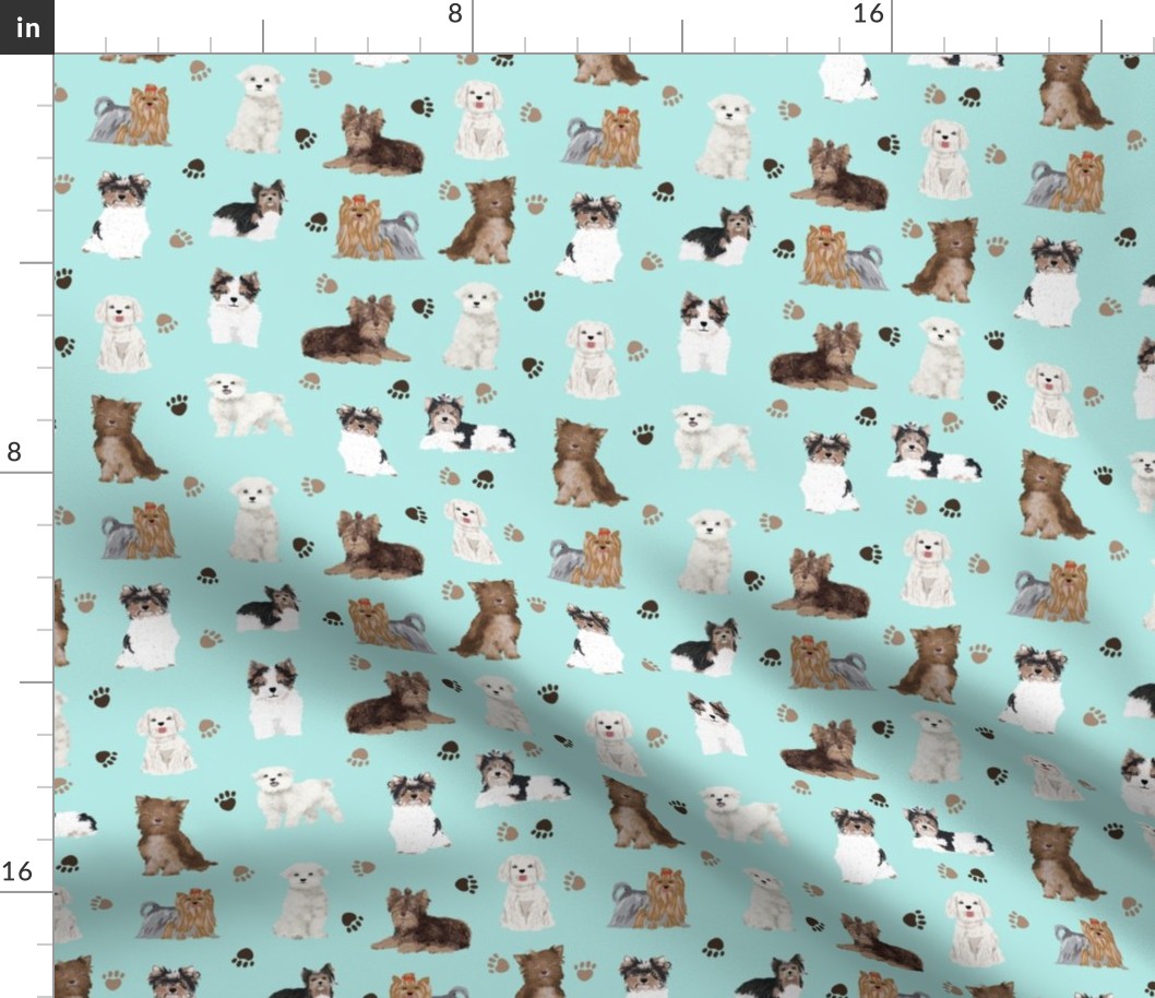 chocolate yorkie, maltese, biewer terriers cute toy dogs fabric cute toy breeds fabric cute dog breed fabric