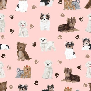 chocolate yorkie, biewer terriers, maltese dogs fabric cute toy dogs fabric toy breeds dogs